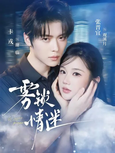 《雾锁情迷》剧集封面
