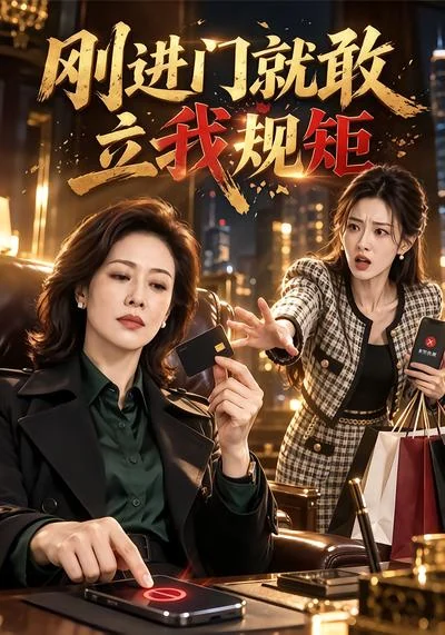 《刚进门就敢立我规矩》剧集封面