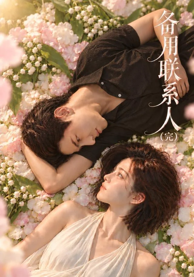 《备用联系人(完)》剧集封面